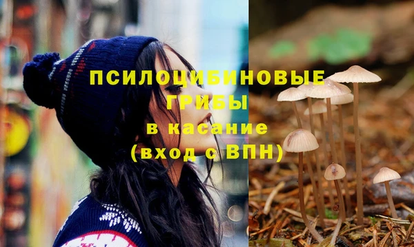 соль ск Абинск