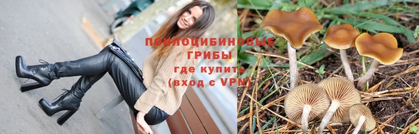 соль ск Абинск